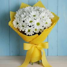Букет цветов из:  Хризантемы в Пензе