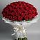 Букет 101 Красная роза Блэк Мэджик в Пензе