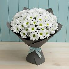 Букет цветов из:  Хризантемы в Пензе