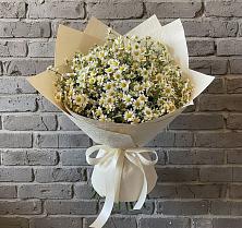 Букет цветов из:  Ромашки в Пензе