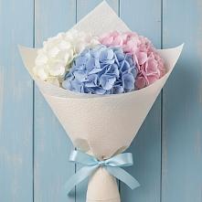 Букет цветов из:  Гортензия в Пензе
