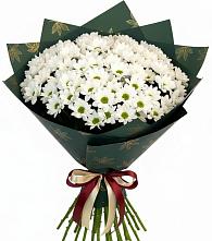 Букет цветов из:  Хризантемы в Пензе