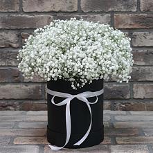 Цветочная композиция из Гипсофила в шляпной коробке в Пензе