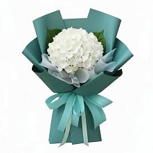 Букет цветов из:  Гортензия в Пензе